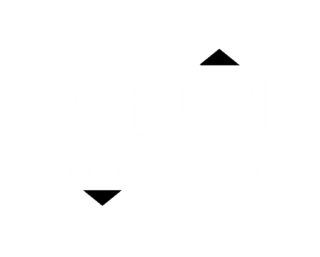 Avl Logo Wit