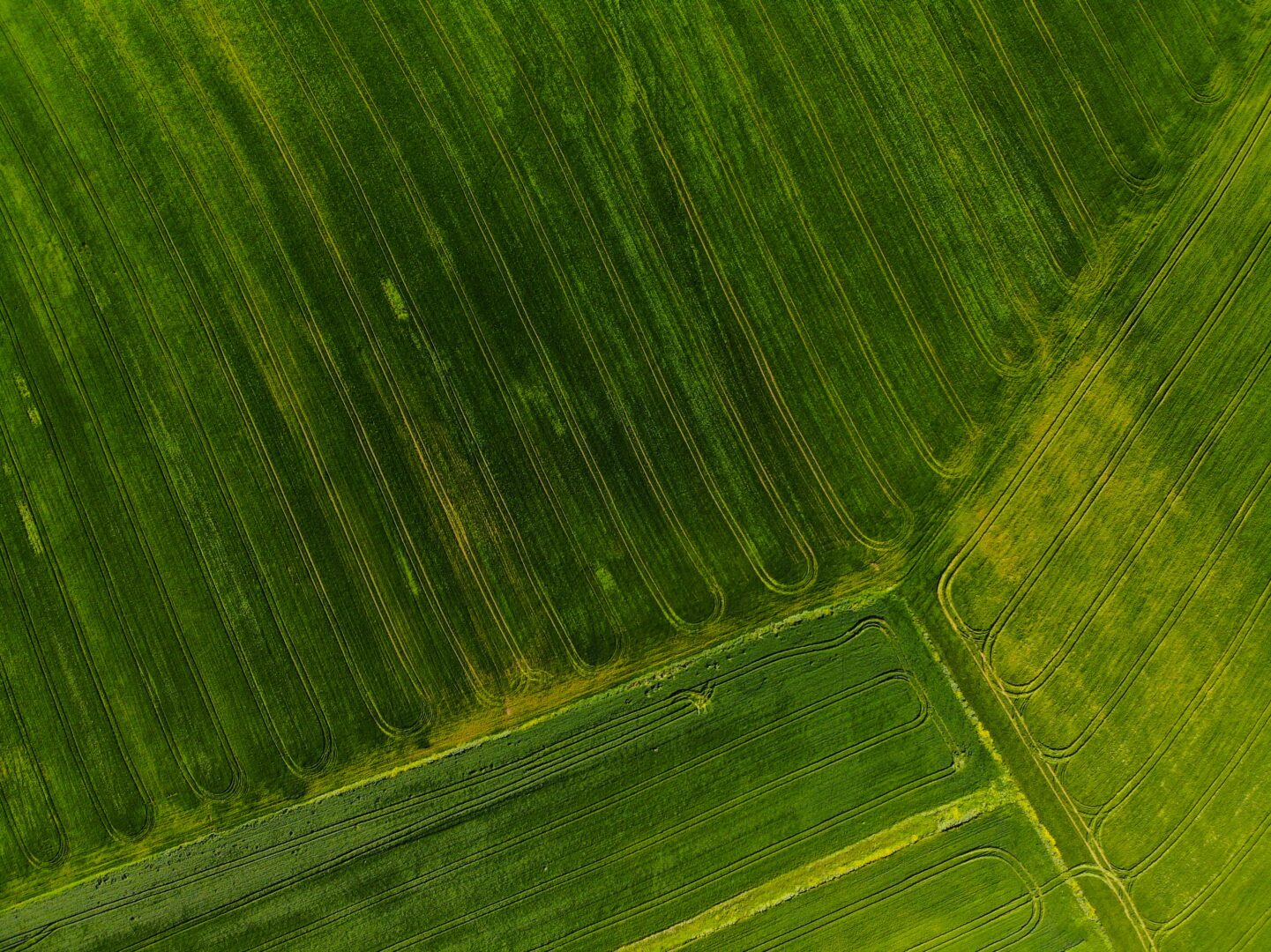 field
